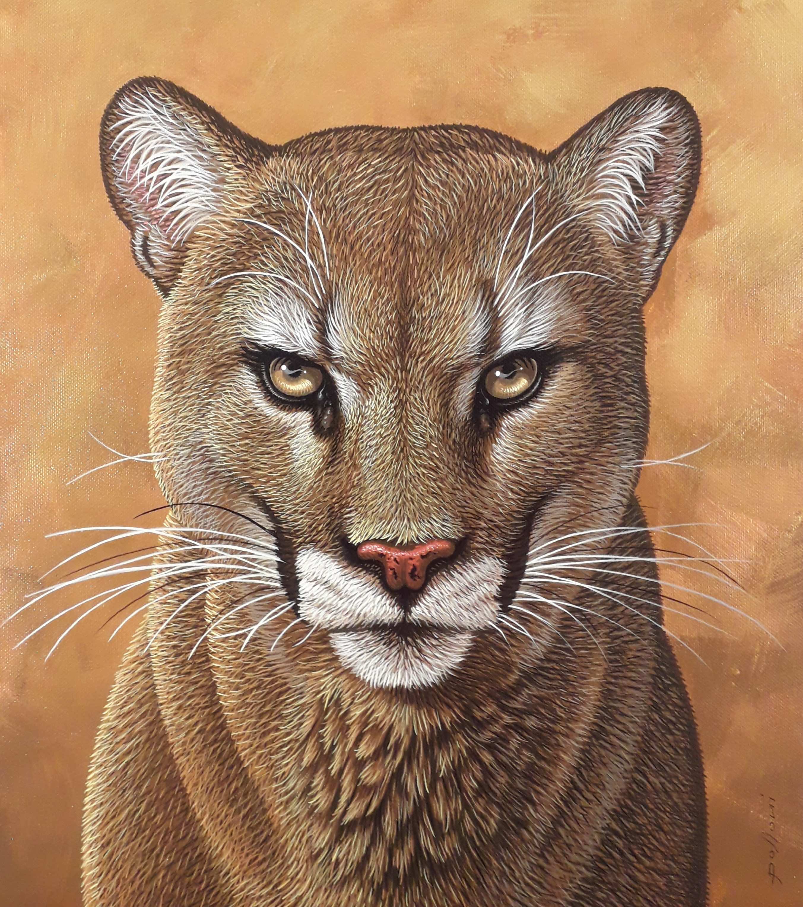 "Puma" - inches 16x14 - Polloni Saverio
