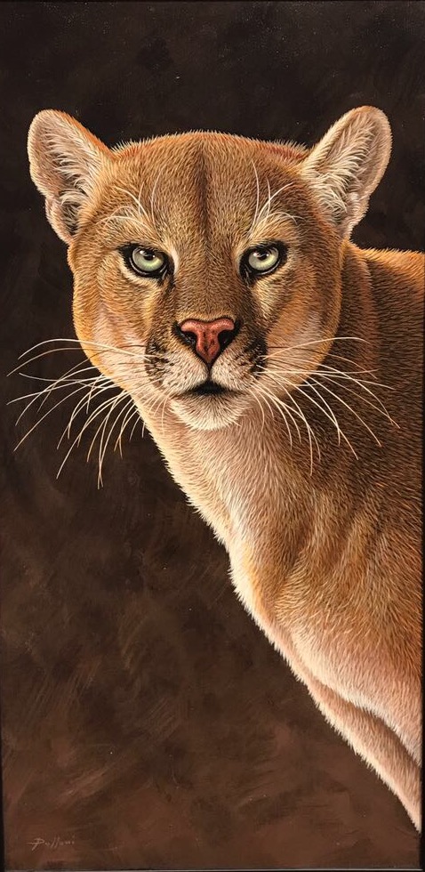 "Puma" - inches 28x14 - Polloni Saverio