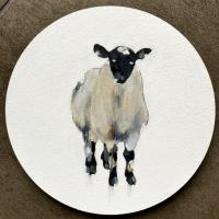 Gasparini Laura - Sheep